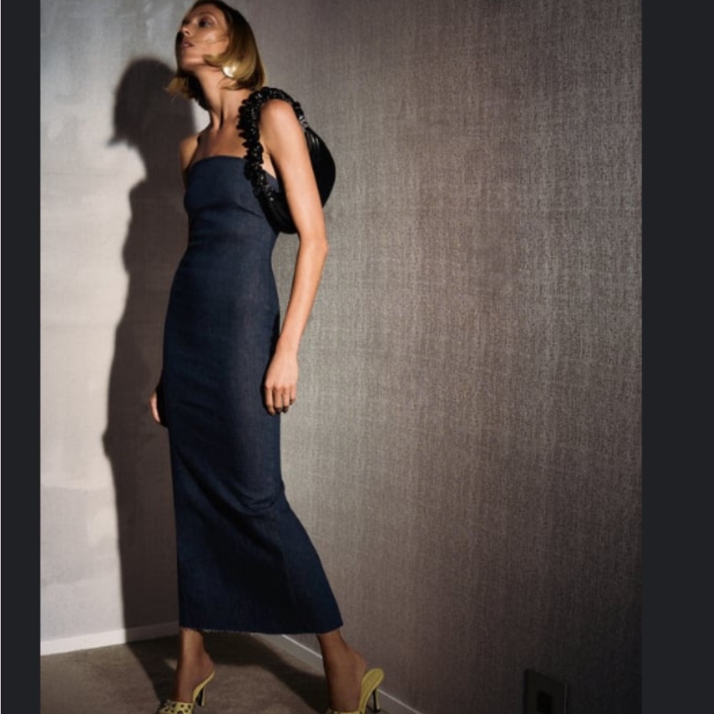 Zara ZW The Denim Dress